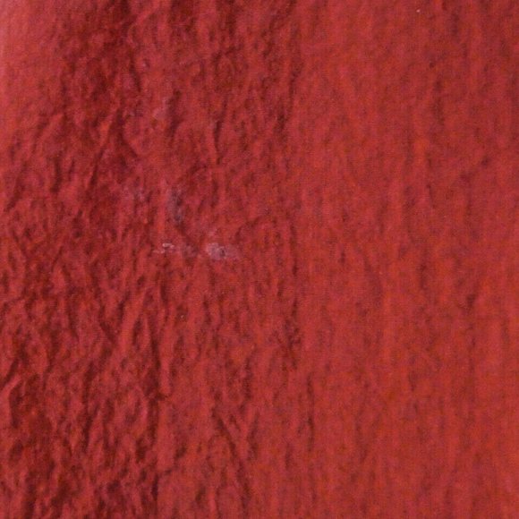 Lucky Brand Jacket Red Nylon Wind Rain Warm Long Sleeve size L - Picture 10 of 10